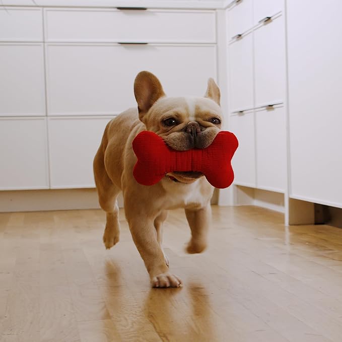 Playology Dog Toys | Plush Squeaky Bone Chew Toy for Dogs | Medium Beef Scented Toy - Easy to Clean and Made from Non Toxic Materials