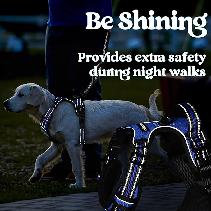rabbitgoo Dog Harness Medium Sized, No Pull Pet Harness with 3 Buckles, Adjustable Soft Padded Vest with Control Handle, Walking Reflective Pet Vest for Medium Dogs, Blue, M