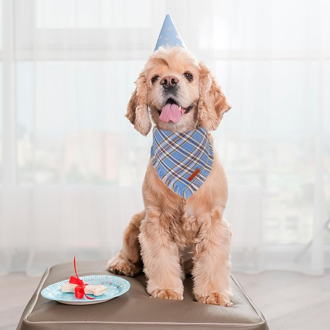 ADOGGYGO Dog Bandanas Boy with Tassels Edges, Stylish Blue Plaid Pet Scarf, Soft Cotton Fabric, Adjustable Reversible Plaid Bandanas for Small Dogs (Small)