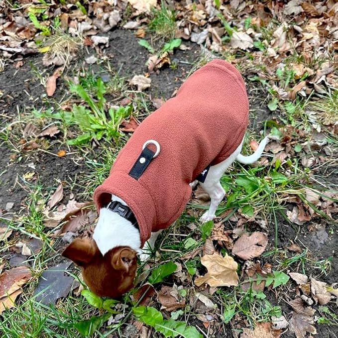 JACKO & CO - Fleece Vest Dog Sweater with Leash Ring - Soft, Warm & Lightweight Pullover Coat for Small & Medium Dogs, Puppies & Cats - Cozy Fall/Winter/Spring Pet Jacket (Chocolate Brown, M (6-10lbs)