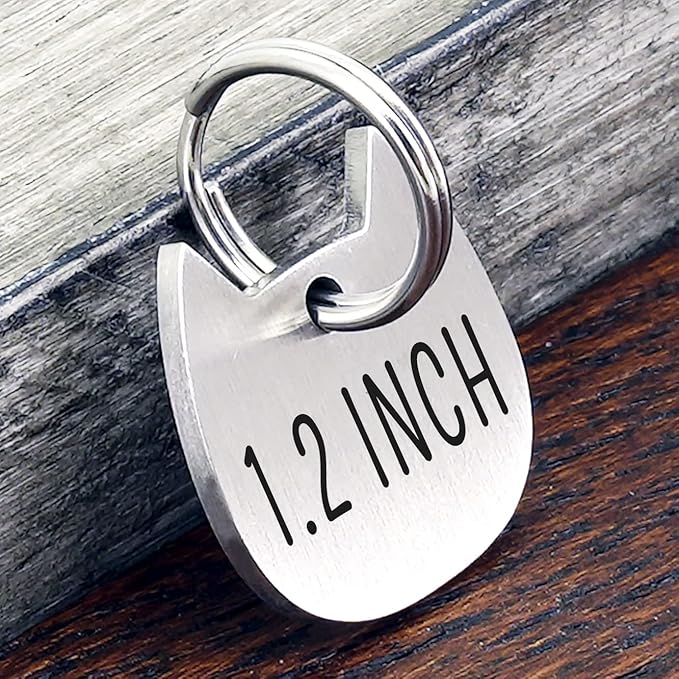 Ultra Joys Cat ID Tag Personalized Pet Tags, Durable Stainless Steel Small Pet Mini Dog Cat Tag Lightweight - Cathead Tag in Silver