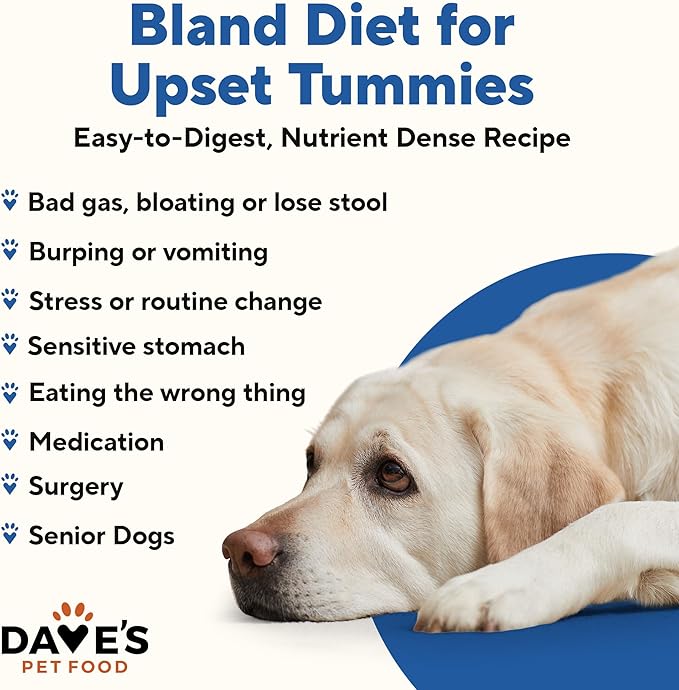 Dave's Pet Food Bland Diet Dog Food (Chicken & Rice), Sensitive Stomach, Easy to Digest, Gluten-Free, Digestive Care, Wet Canned, 13.2 oz (Case of 12)