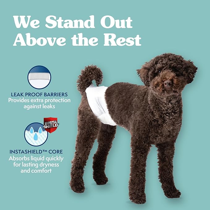 Simple Solution Disposable Wraps for Male Dogs, Dog Diapers, Male Dog Wraps, Leak Proof with Wetness Indicator, Potty Training, Doggie Diaper for Incontinence, 15 – 23 Inch Waist, (M,12 Count)