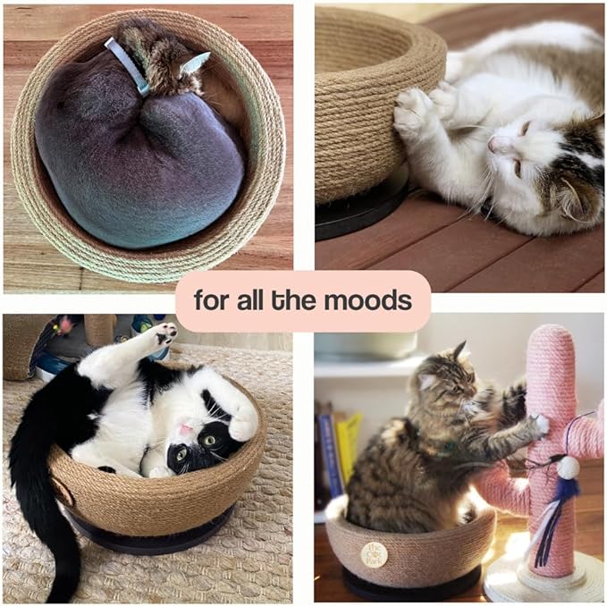 Da Bowl – 2-in-1 Sisal Cat Scratcher Bed with Catnip & Solid Wood Base for Indoor Cats, Round Scratching Nest, Jute Scratching Lounge Couch, Durable Pre-Assembled Cat Furniture, 13.8x5.9
