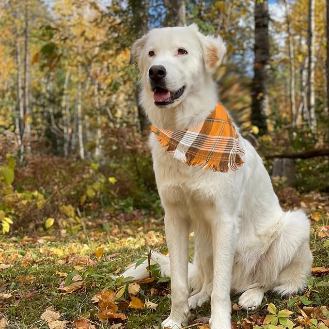 Kytely 2 Pack Fall Dog Bandanas X-Large Thanksgiving Dog Bandana Orange Plaid Pet Scarf for Boy and Girl Triangle Bibs for Large XL Dogs