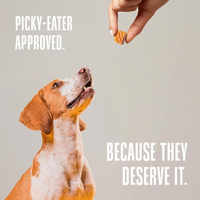 Whole Life Dog Just One Salmon Freeze Dried Dog Treats - Human Grade High Protein Food, Healthy Training Snacks, Freeze Dried Salmon Food Toppers, USA Made Natural Treats - 8 oz (Value Pack of 1)