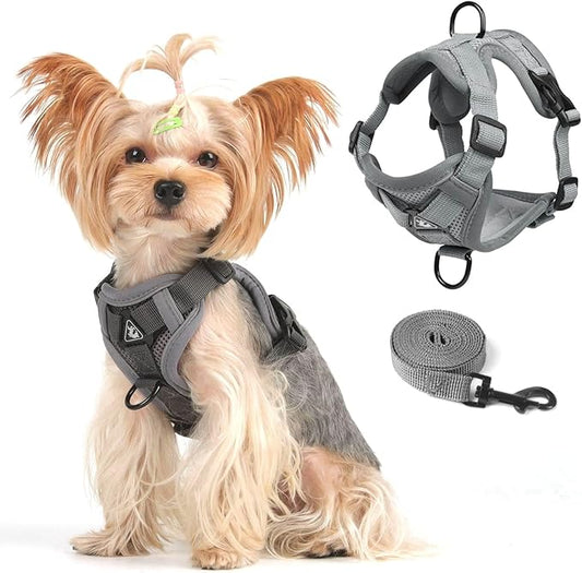 Vest Harness Leash Set for Small Dog Large Cat, Upgraded Escape Proof Adjustable Jacket with Lead for Puppy Fat Cat Outdoor Walking, Soft Breathable Mesh Coat with Reflective Strip XL Dark Grey
