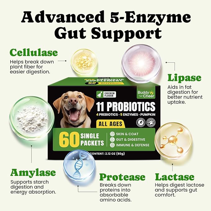 Probiotics for Dogs - 11 Strains with 4 Prebiotics & 5 Enzymes, Dog Probiotics Powder for Diarrhea, Digestive Health & Food Sensitivities, Chicken Flavor Dog Probiotic - 60 Single Packets