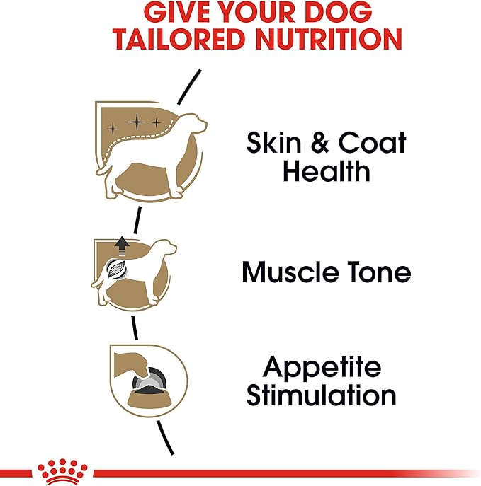 Royal Canin Breed Health Nutrition Poodle Adult Loaf in Sauce Dog Food, 3 oz (Pack of 6)