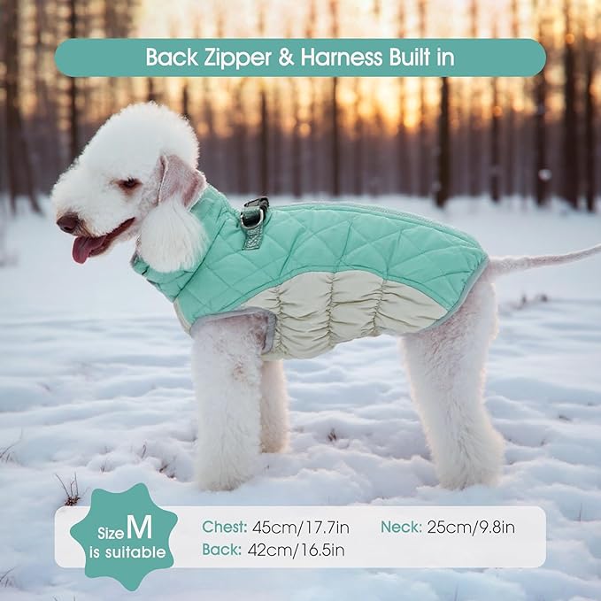 FUAMEY Dog Coat for Large Dogs,Waterproof Dog Winter Jacket with Harness Built in Puppy Cold Weather Coats Reflective Pet Vest with Zipper Warm Fleece Dogs Snowsuit Windproof Mint Green XL