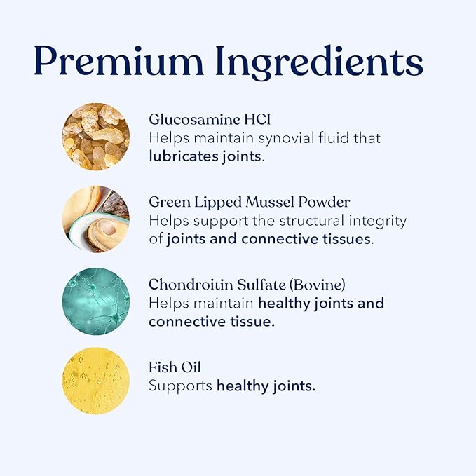 Honest Paws Glucosamine for Dogs – Joint & Mobility Supplement Powder with Green Lipped Mussel, Fish Oil & MSM – Supports Hip & Joint Health, Support Stiffness, Dog Supplies