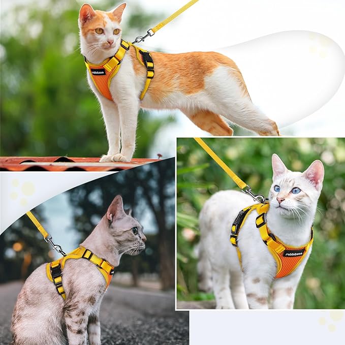 rabbitgoo Cat Harness and Leash Set, Escape Proof Soft Adjustable Vest Harnesses for Outdoor Walking, Easy Control Breathable Kitten Jacket with Reflective Strips, Orange & Yellow, XS