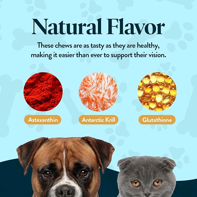 Vision Chews Eye Supplements for Dogs & Cats with Omega 3 Krill, Astaxantin, Choline, Lutein, Glutathione, Cat Vision Supplement & Dog Eye Supplements, Chicken Liver Flavor, 60 Chews, 3.5g Each