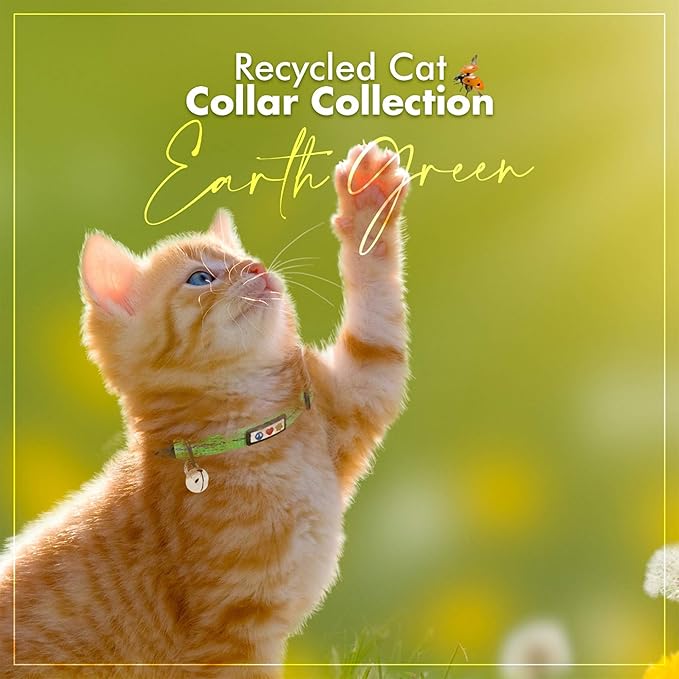 Pawtitas Recycled Cat Collar with Reflective Stitched and Safety Buckle Removable Bell Reflective Cat Breakaway Collar Made of Plastic Bottles Collected from Oceans - Green Cat Collar