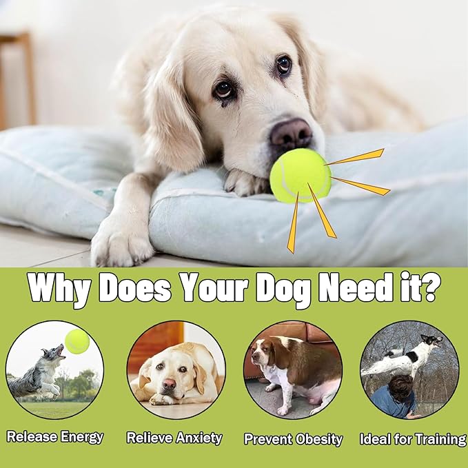 Magicorange Dog Tennis Balls,90 Pack 2.5 inch Floatable Squeaky Tennis Balls for Fetch Exercise, Natural Rubber Squeaky Dog Ball Training Safe (Multicolor, 2.5inch)