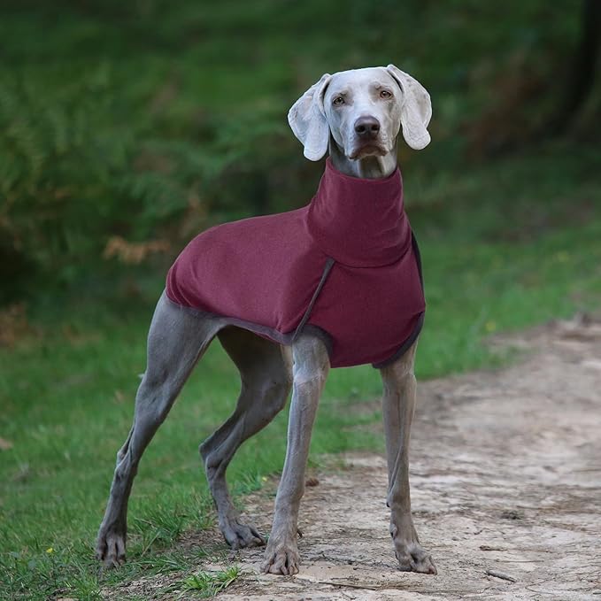 ROZKITCH Turtleneck Dog Pajamas for Large Dogs, Pet Windproof Warm Cold Weather Jacket Vest Cozy Jumpsuit Apparel Outfit Clothes for Walking Hiking Travel Sleep Red 3XL