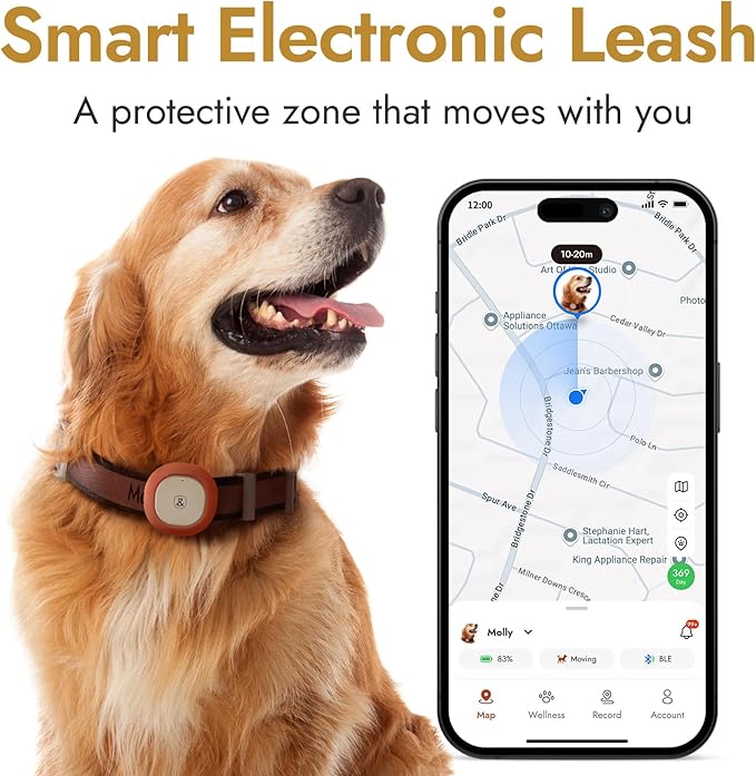 Automatic Dog Feeder for Large Dogs, 14L Capacity, 2.4G WiFi App Control, Dual Power Supply, Stainless Steel Bowl, and Molly&Cody GPS + Bluetooth Pet Tracker for Cats & Dogs – Real-Time Tracking