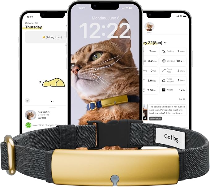 Health Tracker for Cats - Smart Cat Collar with Safety Breakaway Buckle for Indoor Cats, Wellness Alerts, Real-time Monitoring (Charcoal, M)