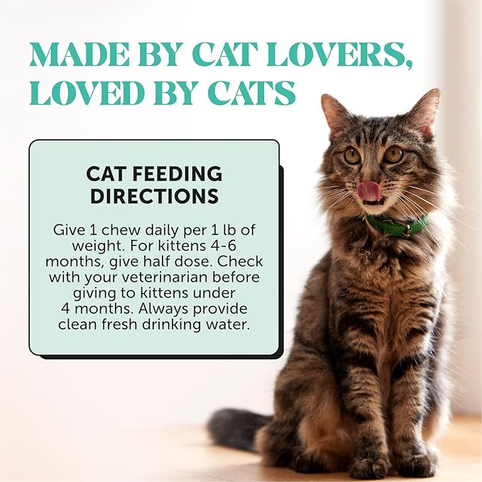 Pet Honesty Fresh Dental Bites for Cats - Crunchy & Creamy Cat Dental Treats for Fresh Breath, Plaque + Tartar Control, Cleans Teeth + Gums, Daily Cat Oral Care (30 Day Supply)