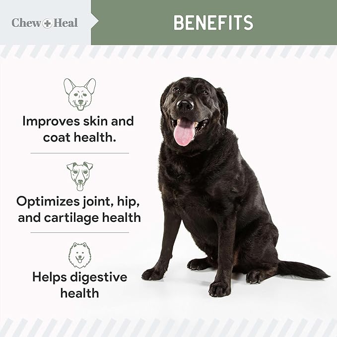 All in 1 Dog Vitamins and Supplements, 60 Soft Chew Multivitamins with Glucosamine, Probiotics, Omega Fish Oil -for Skin, Coat, Hip, Joint & Gut Health -Senior, Puppy, Large & Small Dogs