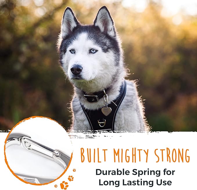 Mighty Paw Dog Tag Carabiner Clips - 3 Pack Strong Dog Clip - Weather Resistant & Easy to Clean Quick ID Holders - Easy Switch Pet Tags - Attach Keys or Poop Bag Holders - for All Size Collars