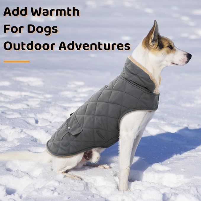 Queenmore Dog Winter Coat - Fleece Jacket, Waterproof Cold Weather Clothes, Thick Warm Cotton Padding, Easy On/Off Storage Pockets (Grey, X-Small)