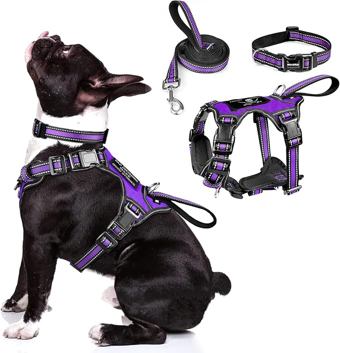 WINSEE Pet Harness Collar and Leash Set, All-in-one Reflective Dog Harness No Pull with Adjustable Buckles for Puppies, Small, Medium, Large, and Extra-Large Dogs (Medium, Purple)