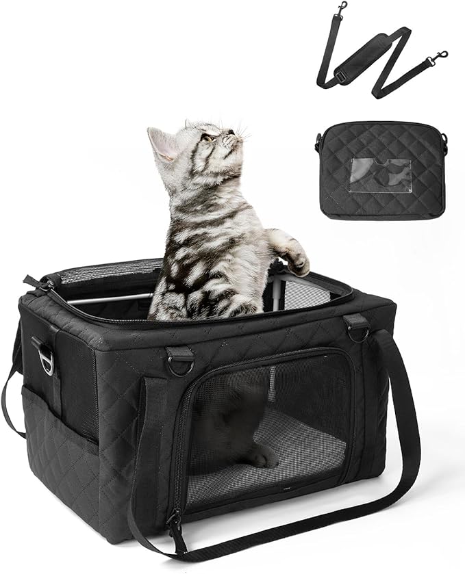 PETUX Airline Approved Cat Carrier for Small Cat - 16" x 10" x 9.5", Double Anti-Escape, Collapsible, Underseat, Under 10 lb with Removable Snack Bag, Safety Buckle, Leash - Ideal for Travel - Black