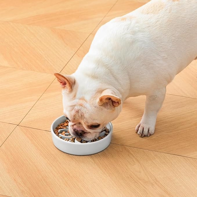 vancasso Ceramic Slow Feeder Dog Bowls, Puzzle Dog Food Bowls with Floral Maze, Anti -Slip Pet Food Dish for Small Breed, 0.6 Cups, Grayish Cyan