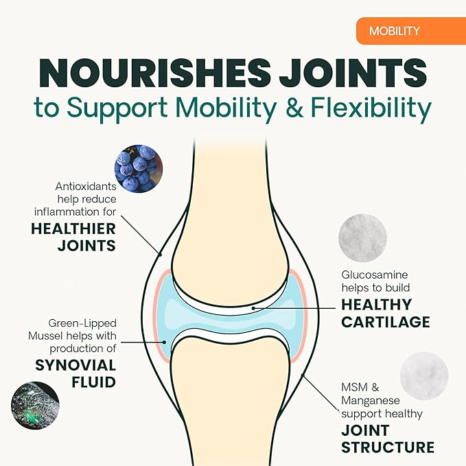 VetriScience Ultimate Strength Hip & Joint Supplement for Dogs, GlycoFlex Plus – MSM, Chondroitin & Green-Lipped Mussel Chews for Mobility, Flexibility, Comfort & Support, Duck Flavor, 60 Cnt