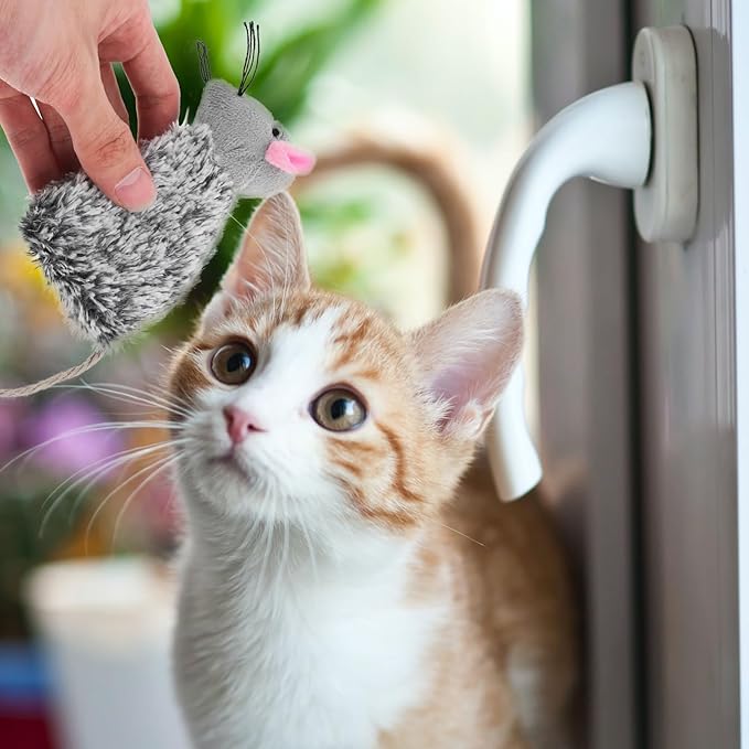 3pcs Refillable Catnip Toys for Cats, Refillable Catnip Cat Toy Teething for Puppie Kittens, Cartoon Doll for Kittens Teething and Playtime Fun