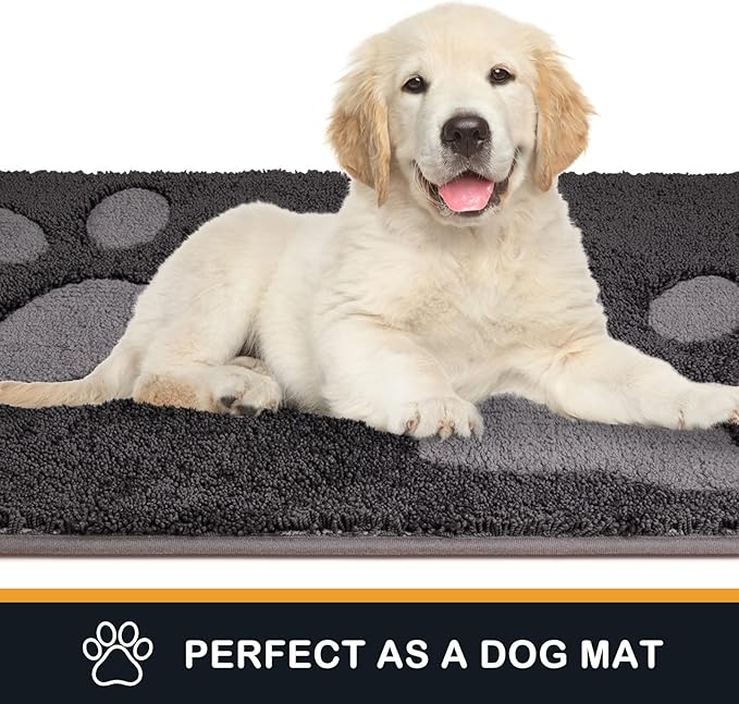 PURRUGS Dirt Trapping Door Mat 24" x 35.5", Non-Skid/Slip Machine Washable Microfiber Entryway Rug, Dog Doormat, Super Absorbent Welcome Mat for Muddy Wet Shoes and Paws, Charcoal