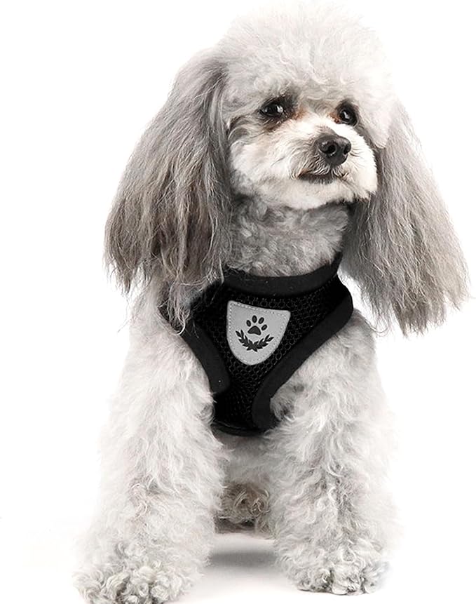 shudyear Summer cat Chest Harness and Leash, Anti-Escape Adjustable Soft mesh cat Leash and Chest Harness Set for All Types of Cats cat Vests (Size L,Black)