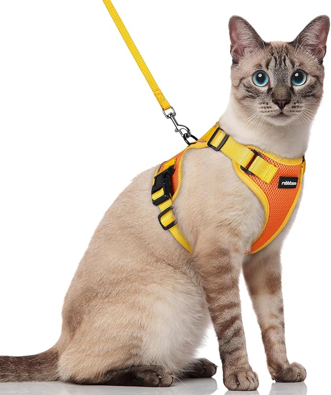 rabbitgoo Cat Harness and Leash Set, Escape Proof Soft Adjustable Vest Harnesses for Outdoor Walking, Easy Control Breathable Kitten Jacket with Reflective Strips, Orange & Yellow, S