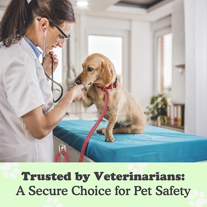 Canine Hitch Secure Dog Leash Parking Bundle – Standard & Standard with Clip, Indoor & Outdoor Wall Hook,Stainless Steel Tie-Out for Home & Business (Pack of 2)