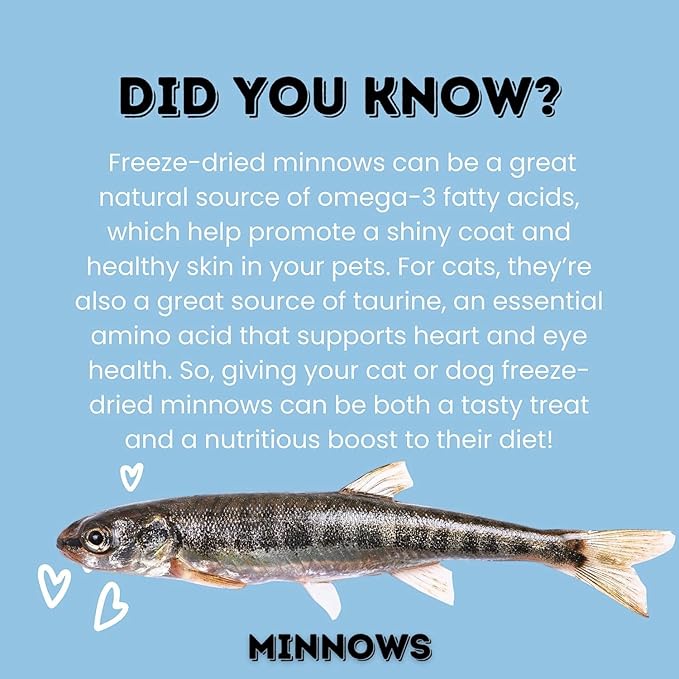 Freeze-Dried Minnows for Cats & Dogs – 100% Natural Single Ingredient Snack – High Protein, Grain-Free, Raw Diet Dog Treats – Omega-3 Fish – No Additives or Preservatives Minnows for Cats (2 Ounce)