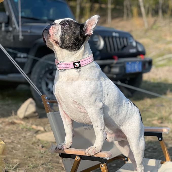 azuza Reflective Dog Collar,Soft Neoprene Padded Pet Collar with ID Tag Ring,Adjustable for Medium Dogs,Pink,M