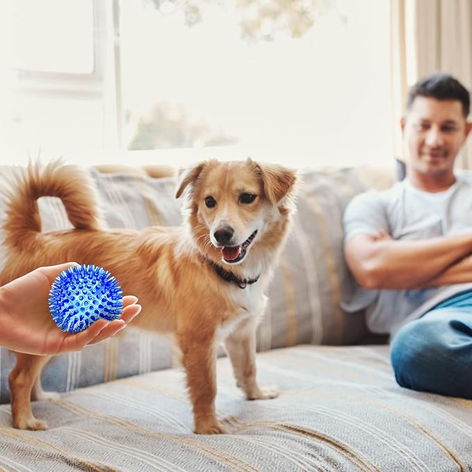 SHARLOVY 3'' Squeaky Balls for Small Dogs, 4 Colors Spiky Dog Balls for Puppy Teething, Durable Puppy Chew Toys for Teething, Indestructible Toys to Fetch and Train, BPA Free Non-Toxic