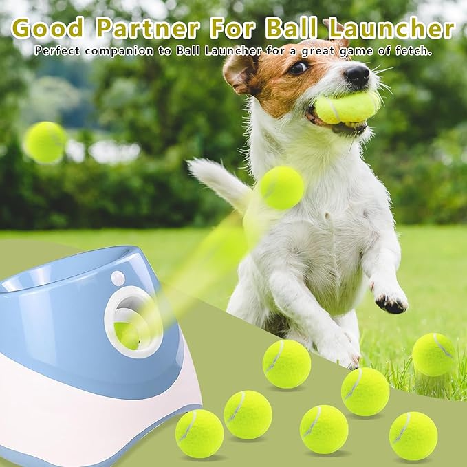 Magicorange 6 Pack Small Tennis Balls, 2 inch Squeaky Tennis Ball for Dogs,Colorful Easy Catching Squeaky Dog Balls with Mesh Bag for Easy Transport (Yellow)