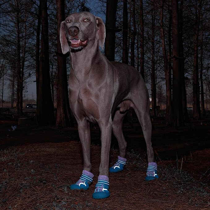 Dog Shoes, Waterproof Dog Boots & Paw Protectors with Anti-Slip Sole, 4pcs/Set Pet Dog Booties, Reflective Dog Shoes for Small Medium Large, Winter Snowy Summer Hot Pavement (Blue, 1# (3XS))