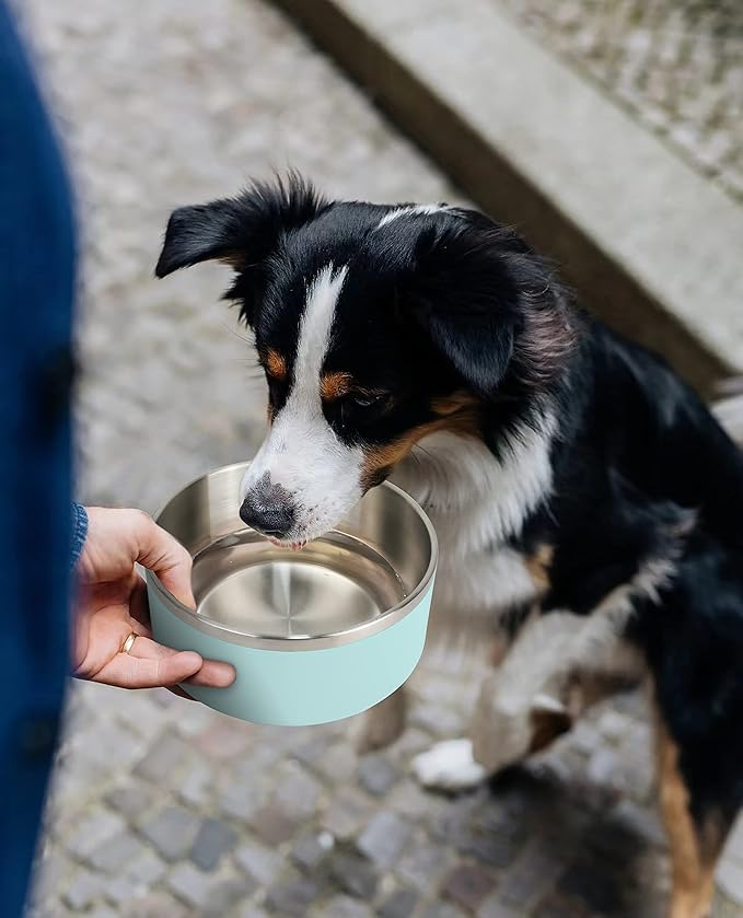 IKITCHEN Dog Bowl for Food and Water, 40 Oz Stainless Steel Pet Feeding Bowl, Durable Non-Skid Double Wall Insulated Heavy Duty with Rubber Bottom for Medium Large Dogs (40 Ounces/5 Cup, MintGreen)