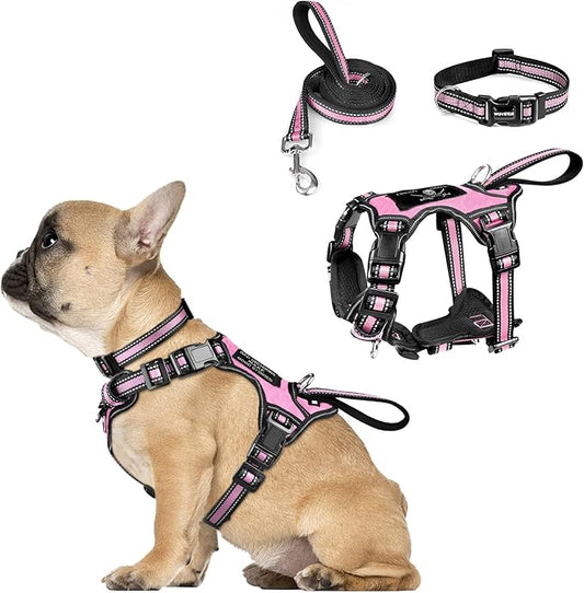 WINSEE Pet Harness Collar and Leash Set, All-in-one Reflective Dog Harness No Pull with Adjustable Buckles for Puppies, Small, Medium, Large, and Extra-Large Dogs (Small, Pink)
