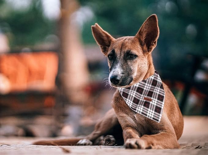 Lionet Paws Dog Bandana Washable Cotton Handkerchief Scarf Triangle Bandana for Small Medium Large Dogs Black Grid