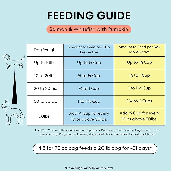The Pets Table Salmon & Whitefish with Pumpkin Grain Free Air Dried Dog Food, 3 lb / 48 oz Bag