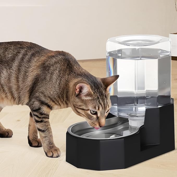 Sfozstra Gravity Water Bowl Dispenser : Automatic 5L Black Cat Stainless Steel Feeder Without Filters - for Dogs with Joint Problems - Suitable in Garage Bedroom
