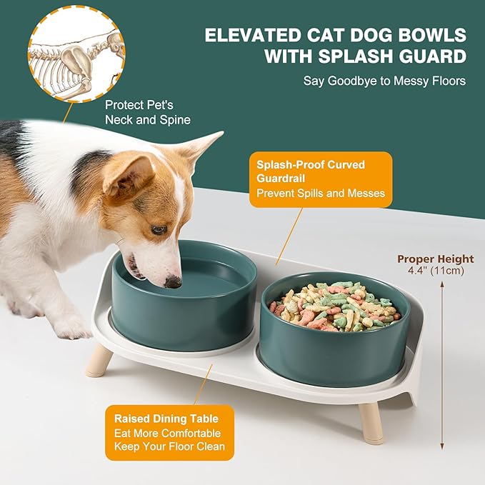 Elevated Ceramic Dog Bowl Set - Double Dog Feeding Bowls with Stand Splash Proof - Raised Dishes for Food and Water - Ideal for Small to Medium Dogs - 2 x 850 ml - 28.74 oz