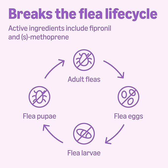 Amazon Basics Flea and Tick Topical Treatment for Large Dogs (45-88 pounds), Unscented, 6 Count, Packaging May Vary