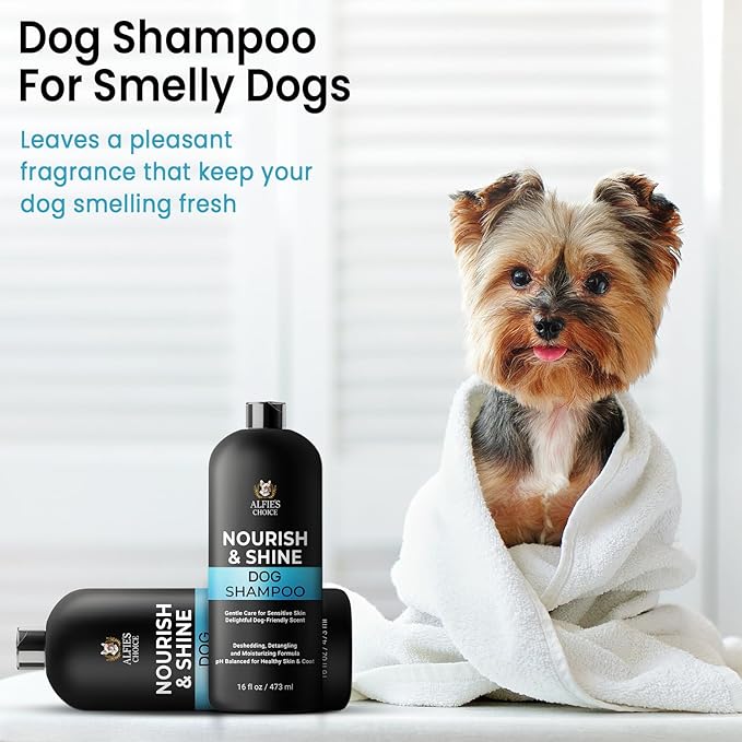 Dog Shampoo and Conditioner Set for Itchy Skin, Allergies & Odor – 2-in-1 Calming Formula with Lavender, Rosemary & Biotin – Moisturizing & Detangling – Safe for Puppies & All Breeds – 16 oz x 2