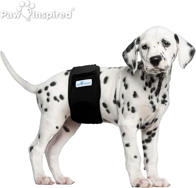 Paw Inspired 3-Count Reusable Male Dog Wraps, Washable Diapers for Male Dogs, Belly Bands for Incontinence, Surgery, Male Marking (Small Size, Black Color with Black Lining, Pack of 3)