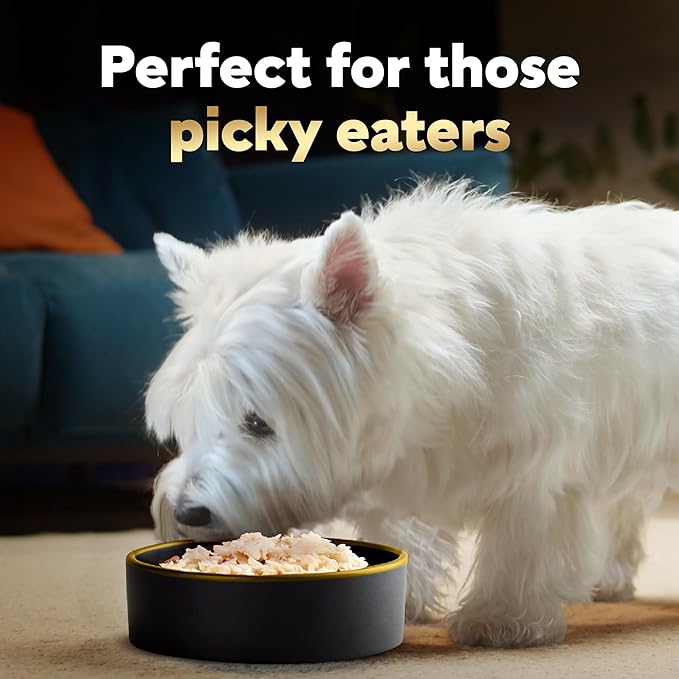 Cesar Simply Crafted Adult Wet Dog Food Meal Topper, Chicken, 1.3 oz. (10 Count, Pack of 1)